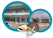 Departamentos en Santa Teresita